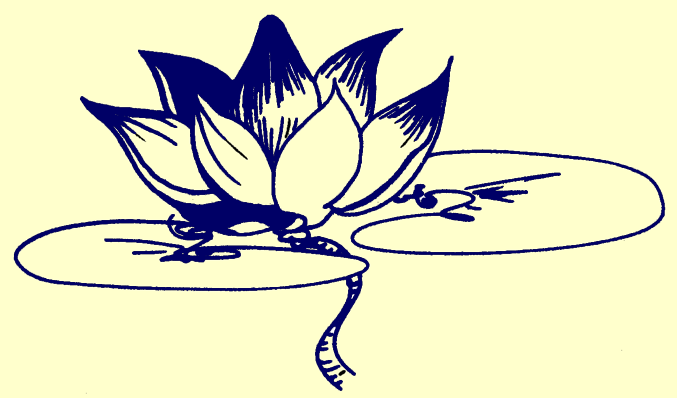 lotus flower